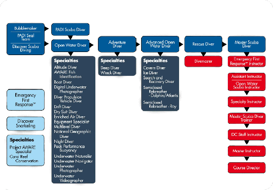 flussdiagramm.gif